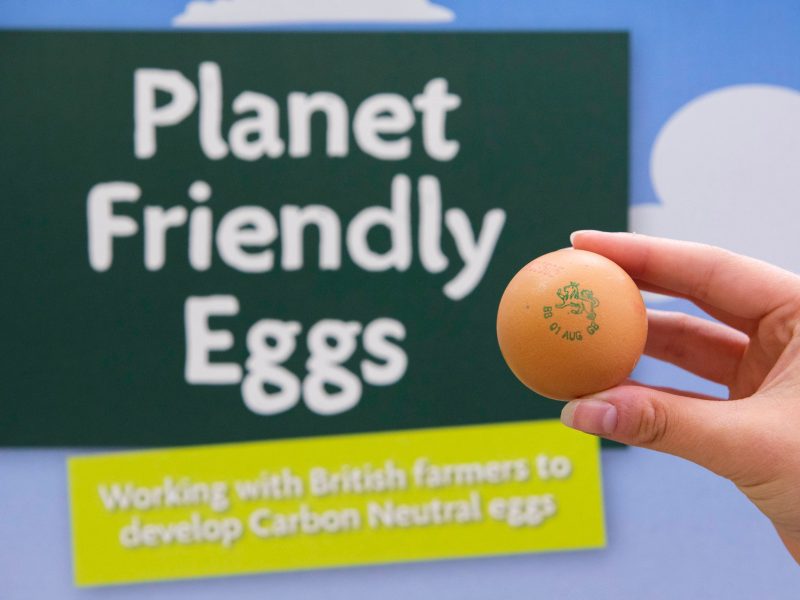 Morrisons planet friendly eggs