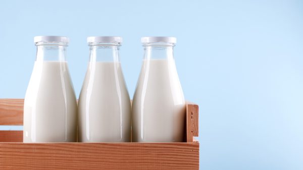 Oat milk in bottle