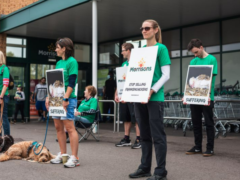 Morrisons protest
