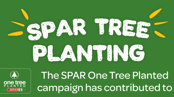Spar tree planting