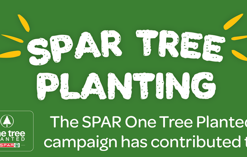 Spar tree planting