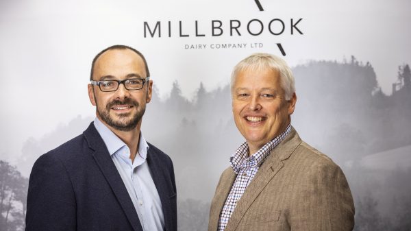 Millbrook Dairy Company revenue growth