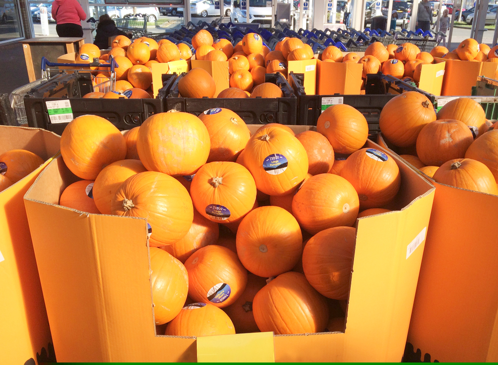 Tesco pumpkins