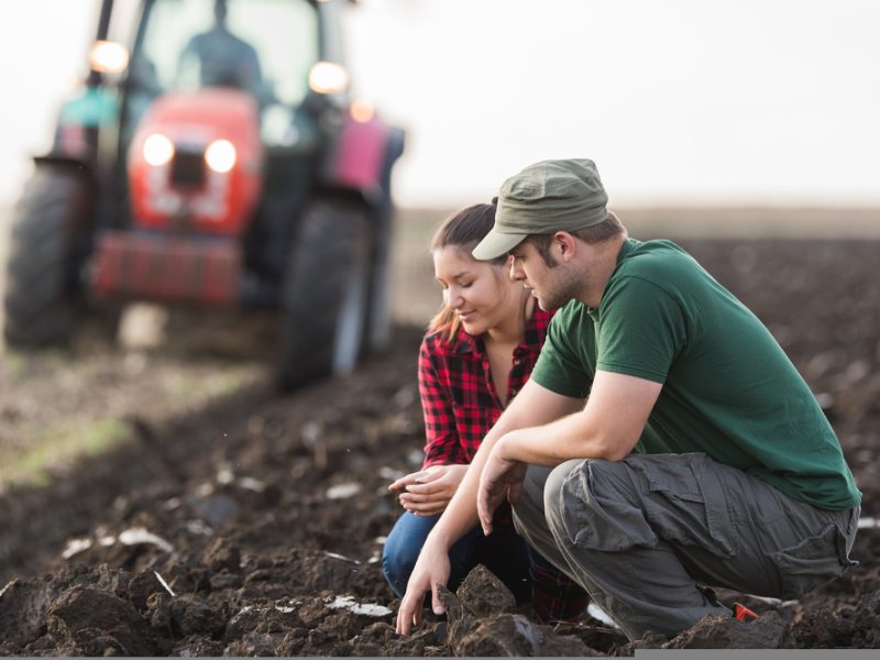 Young farmers - Aldi initiative