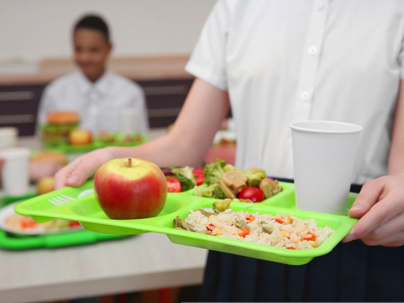 Zayn Malik free school meals