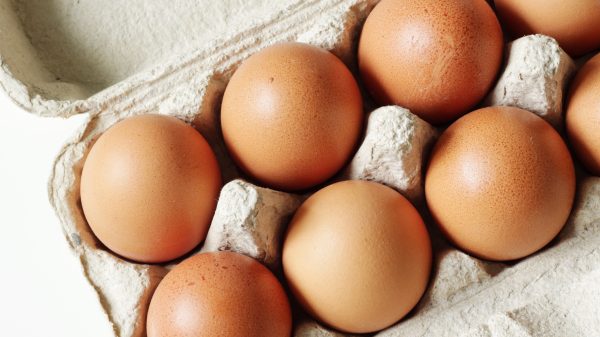 Shoppers to pay more for eggs