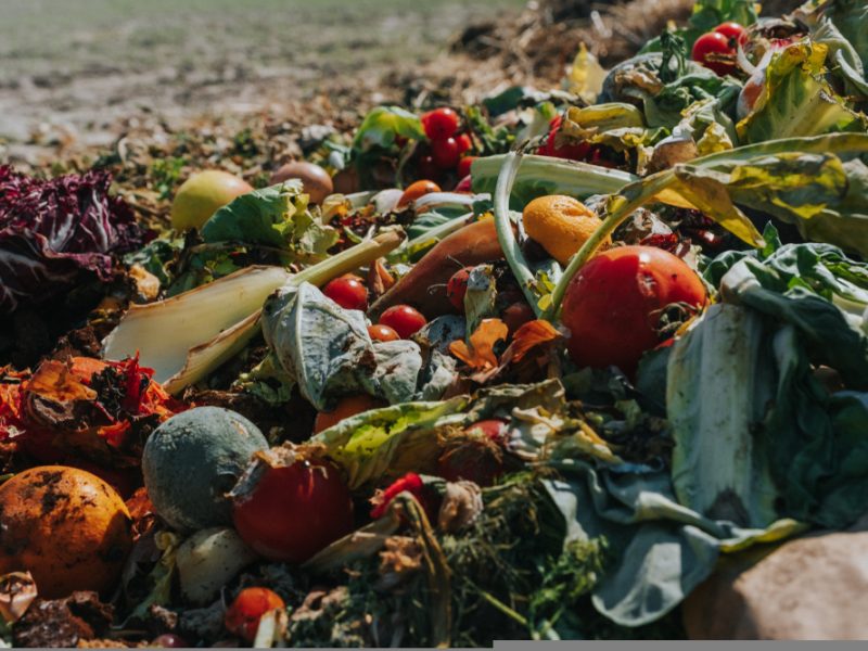 Food waste - Cop27