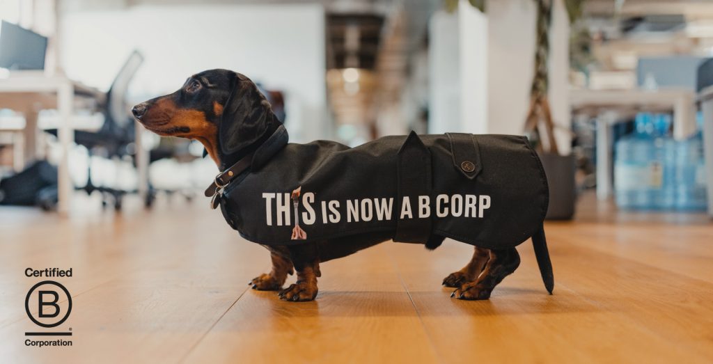 This B Corp certification