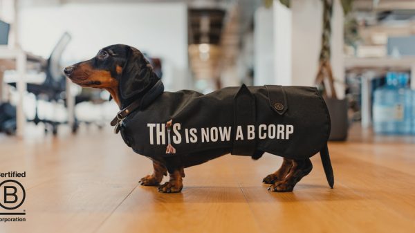 This B Corp certification