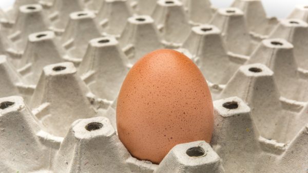 Egg shortage
