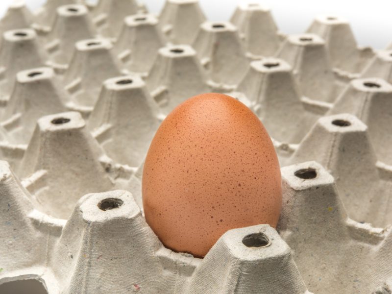 Egg shortage