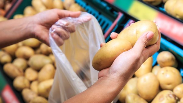 Supermarket potatoes - re Sainsbury's potato price drop