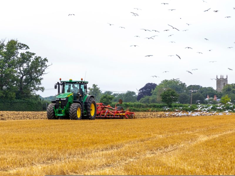 Farmers in field