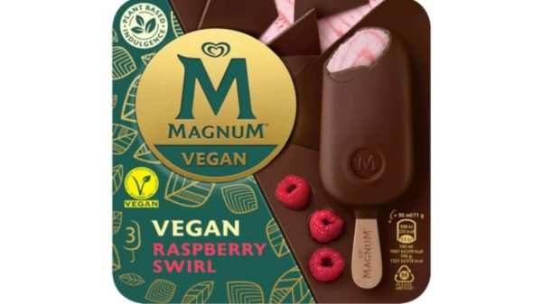 Magnum vegan Raspberry Swirl ice cream