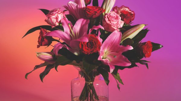 Waitrose wrap-free bouquet