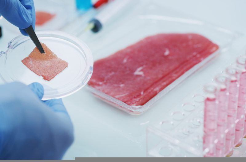 Lab-grown meat