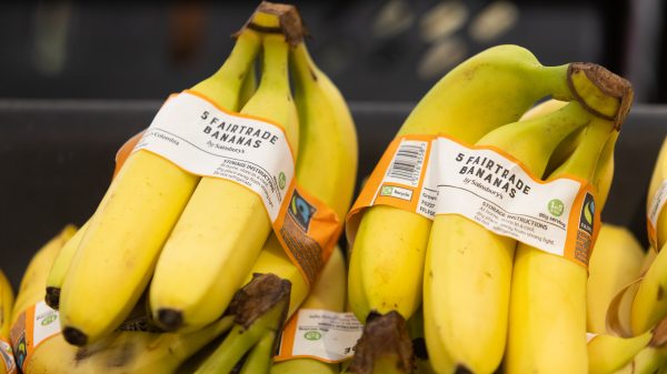 Sainsbury's food trends included bananas