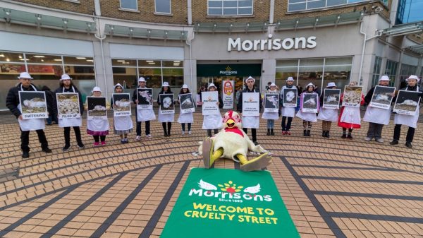 Open Cages activists outisde Morrisons store