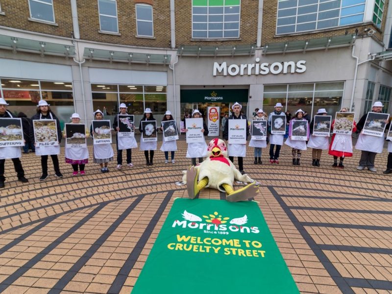 Open Cages activists outisde Morrisons store