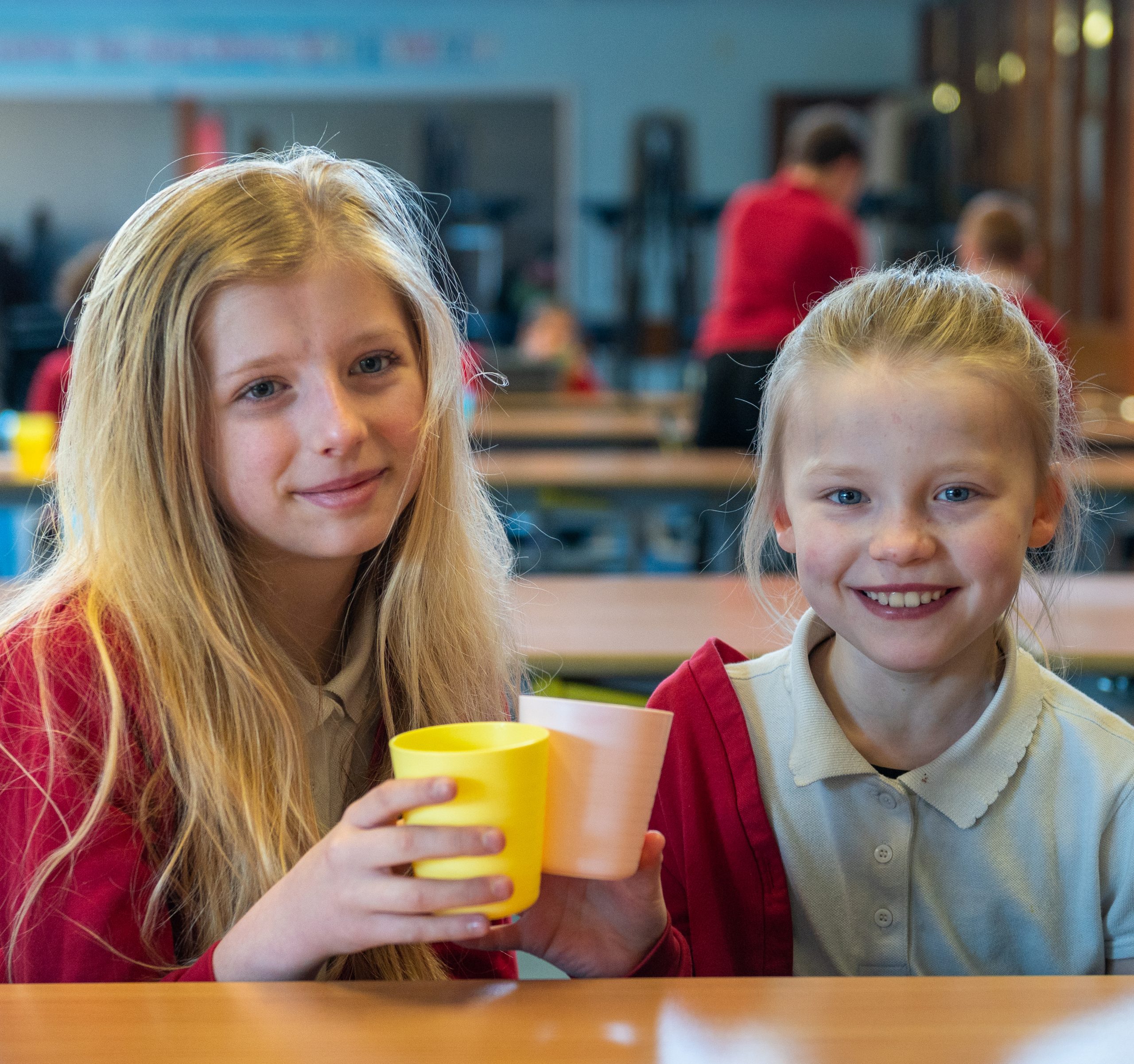 Tesco £5m grant for schools