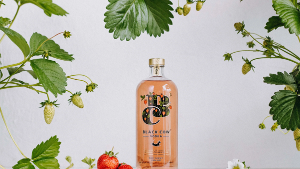 Black Cow Vodka - re partners with Molson Coors