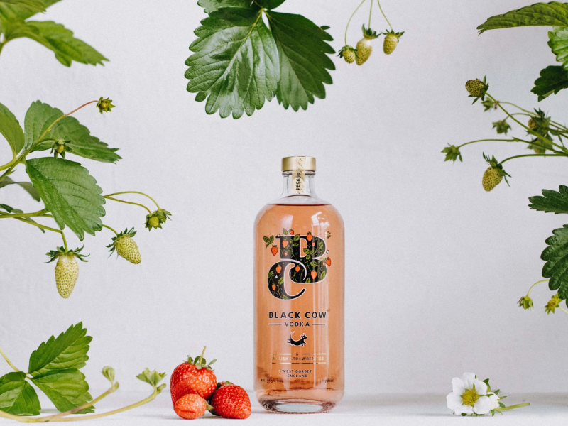Black Cow Vodka - re partners with Molson Coors