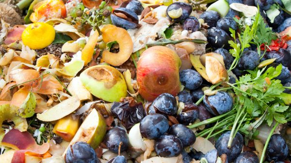 Food waste - Defra scraps mandatory reporting