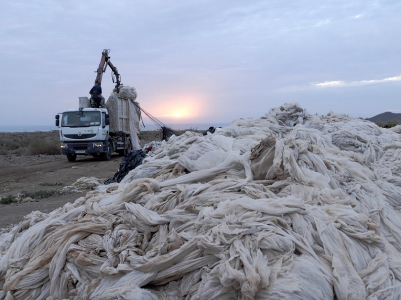 Plastic pollution