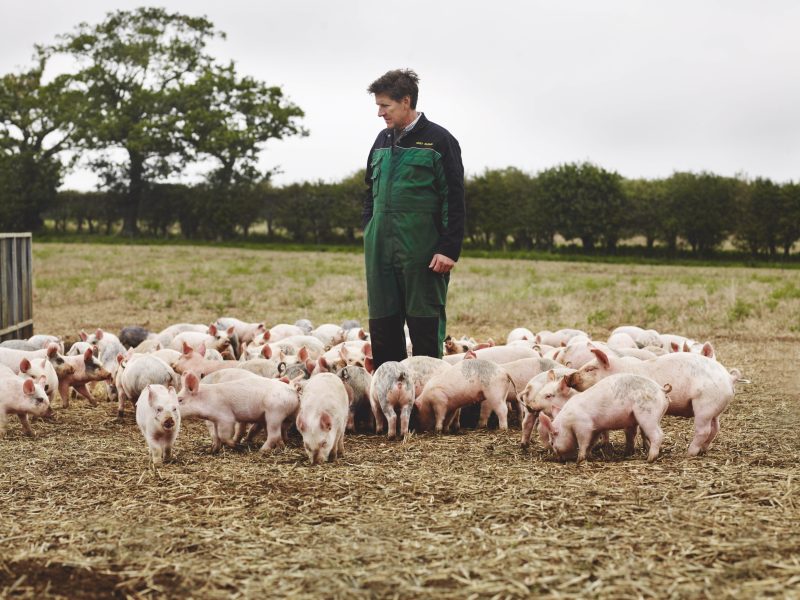 Waitrose pig farmer