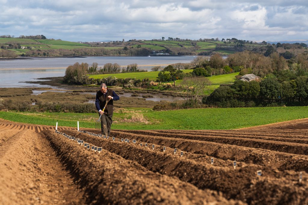Ginsters farmer planting veg