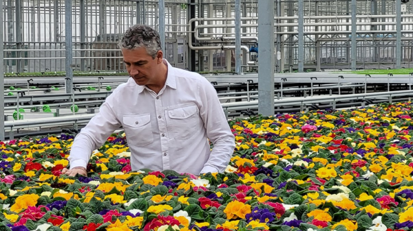 Tesco has become the first UK retailer to go peat-free on its British-grown bedding plants, flowers and compost in an effort to significantly lower its carbon footprint.