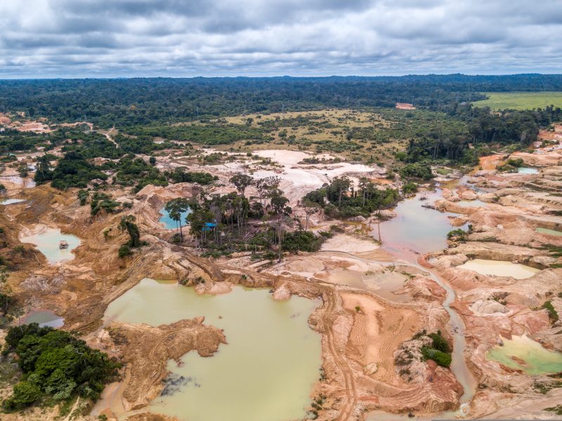 deforestation - re supermarkets call for new laws