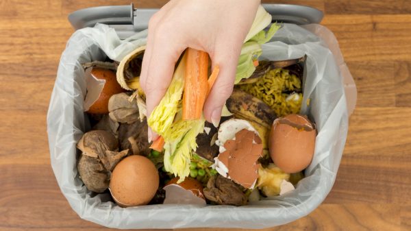 Food waste recycling bin