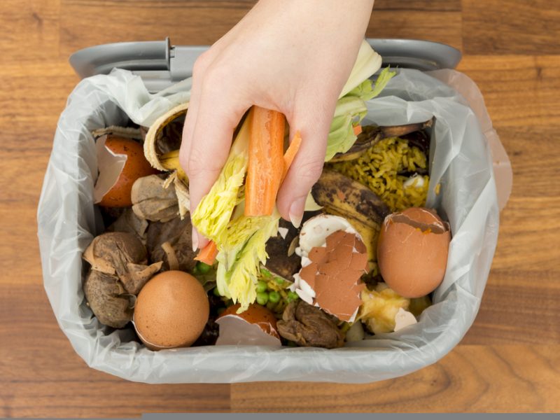 Food waste recycling bin