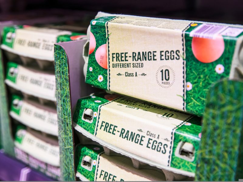 Free-range eggs