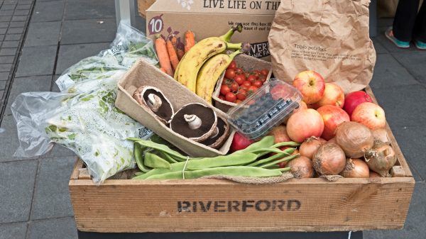 Riverford veg box