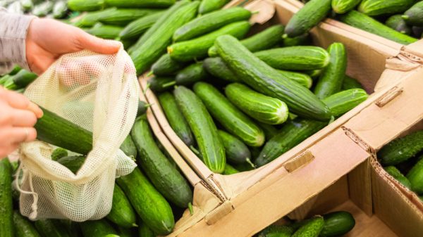 Cucumber in supermarket - re rising in price as inflation bites