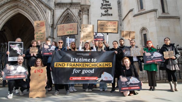 The Humane League supporters outside the court protesting use of Frankenchickens
