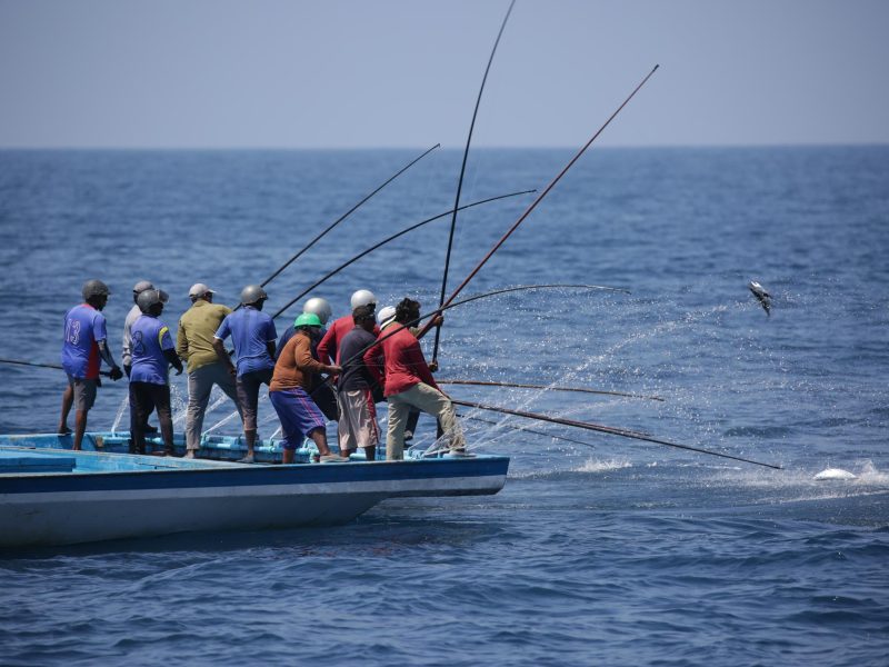 Sainsbury's tuna fishermen