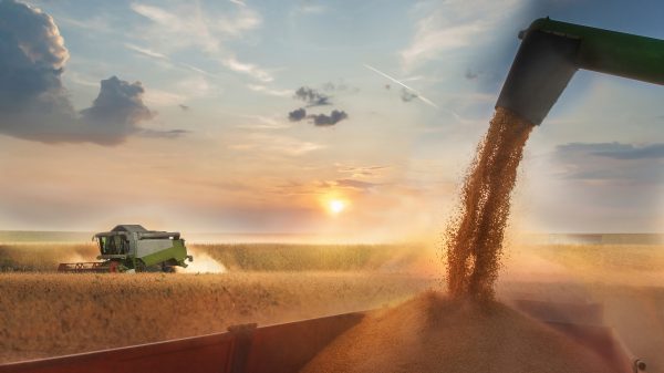 A deforestation free soy initiative has delivered its first 42,000 tonnes of verified DCF soy from Brazil into the supply chain.