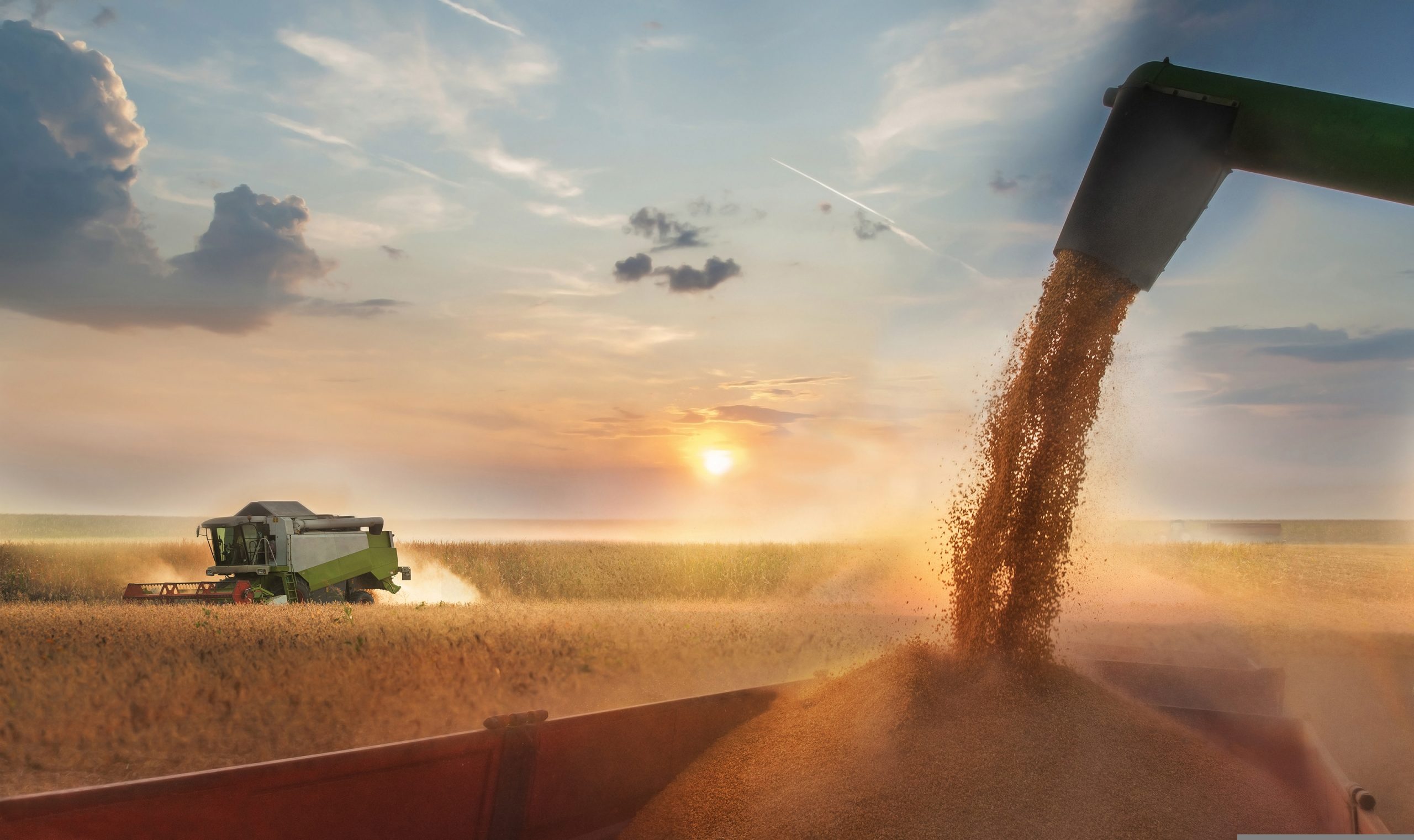 A deforestation free soy initiative has delivered its first 42,000 tonnes of verified DCF soy from Brazil into the supply chain.