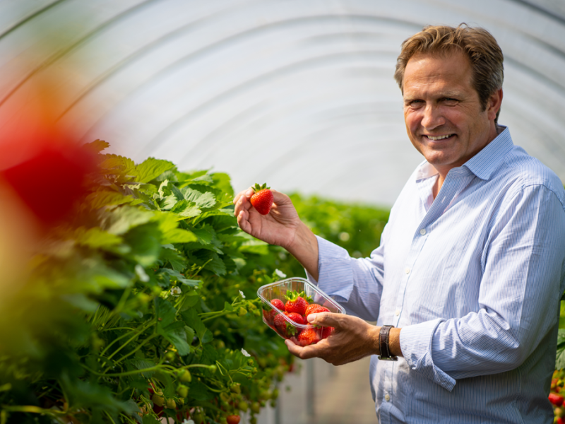 M&S farmer