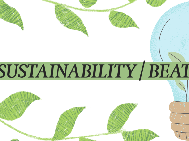 Sustainability Beat logo