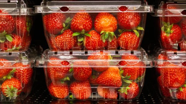 Strawberries on supermarket shelf
