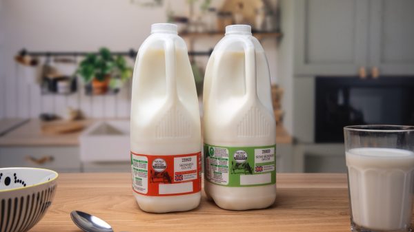 Tesco milk cartons