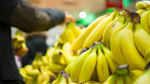 Bananas in grocery store