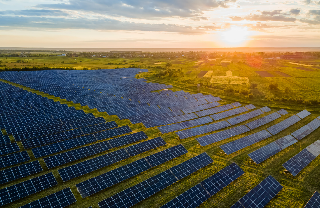 Co-op solar farm