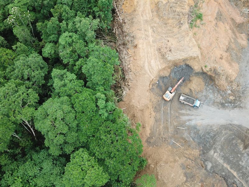 Supermarkets will no longer source products in their stores that have been linked to illegal deforestation, following calls from grocers last week, depicting here deforestation