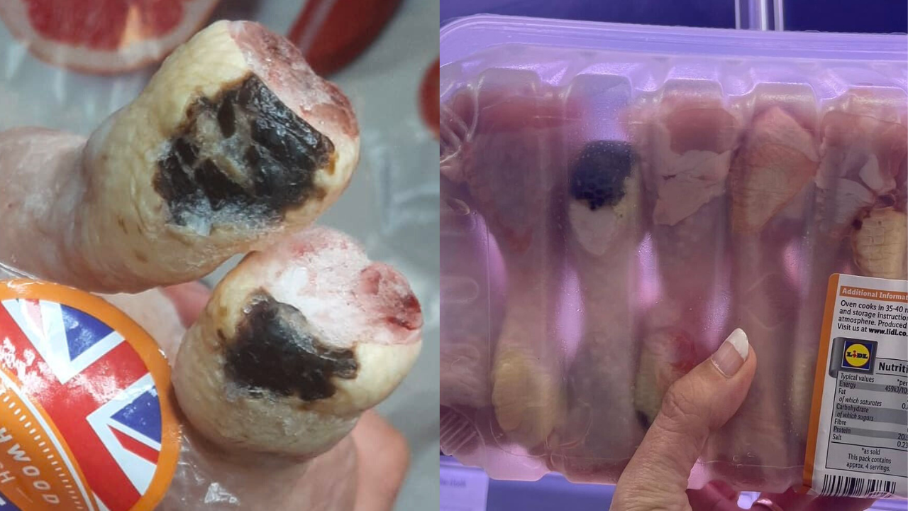 Millions of supermarket chickens have shown skin burns from being left in their excrement, reveals a new by animal welfare campaign group, Open Cages, here depicting chickens