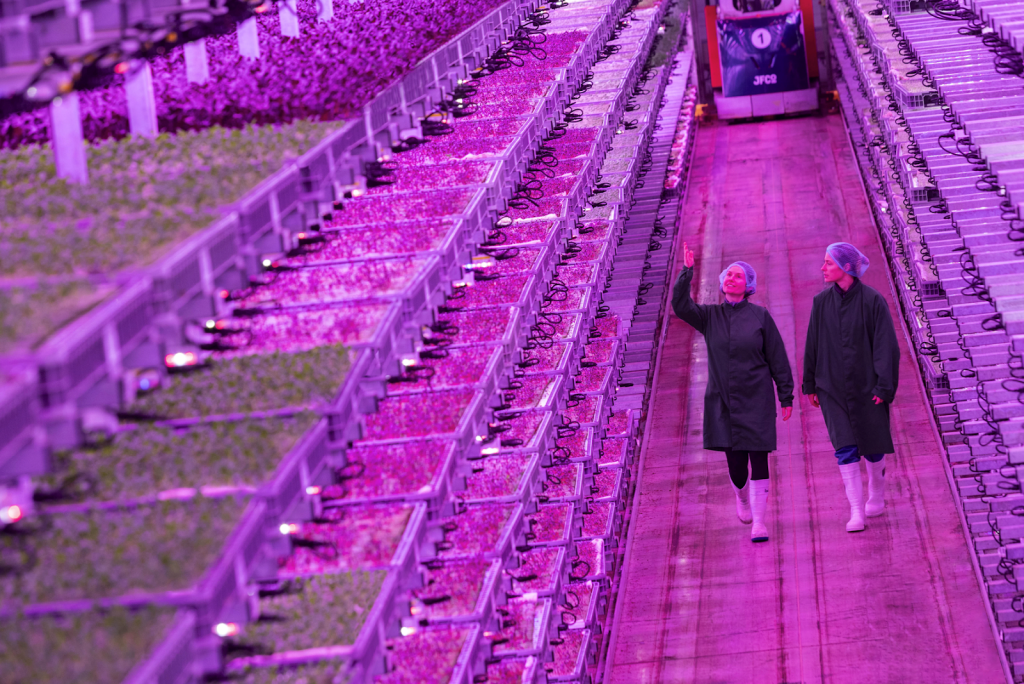 Here showing an Ocado backed Vertical farm